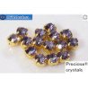 WH Chaton Preciosa Maxima Tanzanite - gold ss16
