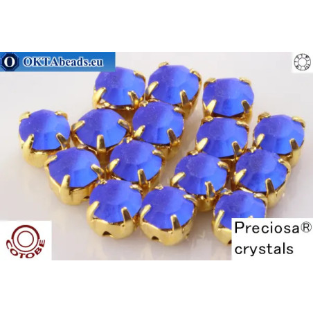 WH Chaton Custom Cotobe Optima MAT Sapphire - gold ss16