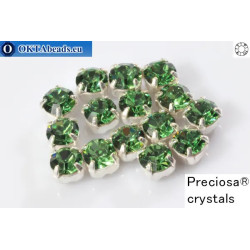 WH Chaton Preciosa Maxima Erinite - silver ss16