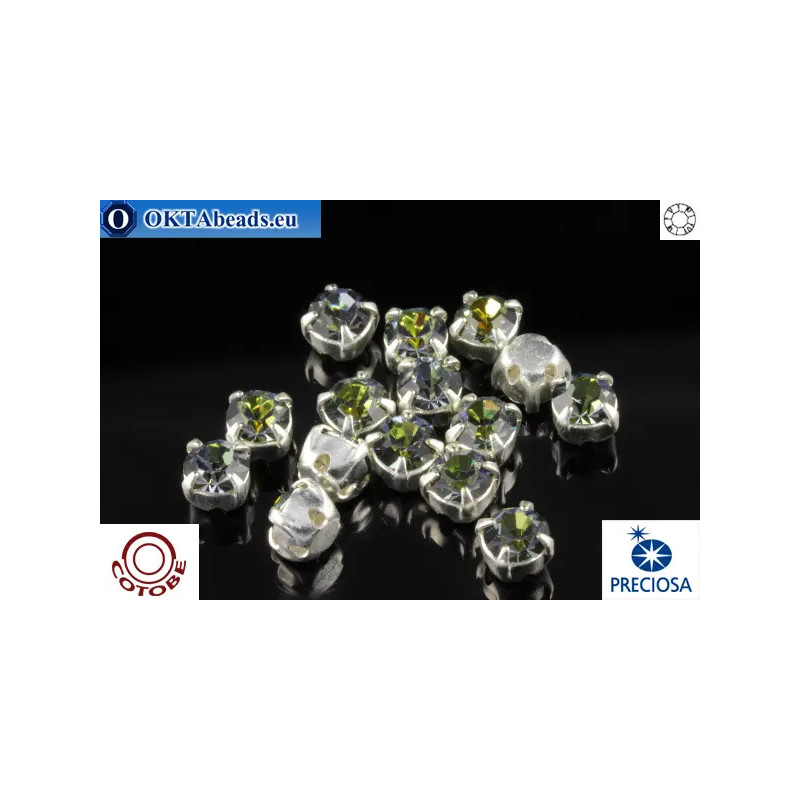 WH Chaton Custom Cotobe Optima coating Sahara - silver ss16