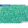MIYUKI Beads Delica Lined Aqua Blue AB 11/0 (DB79)